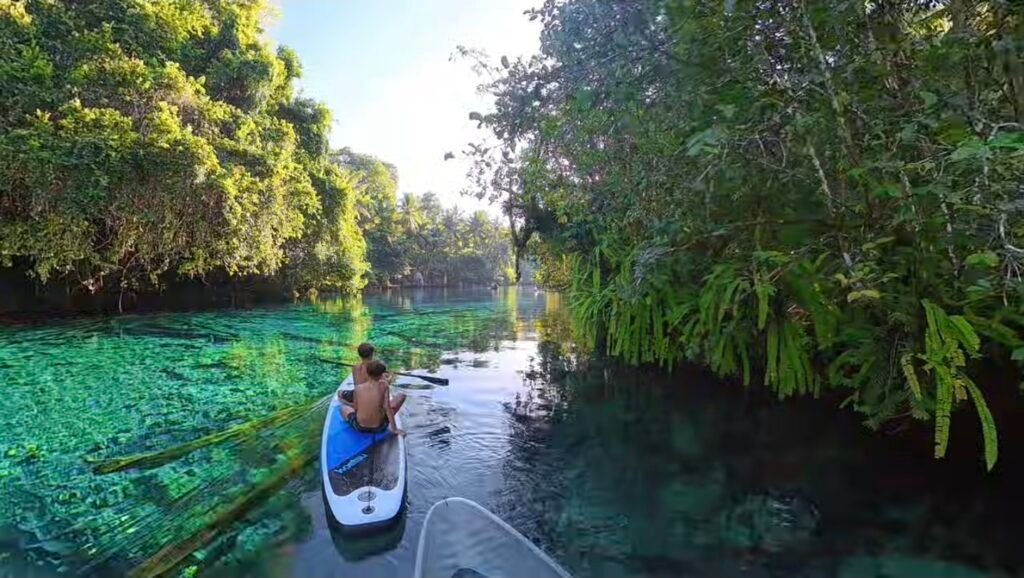 Persona haciendo Stand Up Paddle (SUP) en las aguas azules y sin corrientes del lago Paisu Pok, rodeado de selva tropical.
