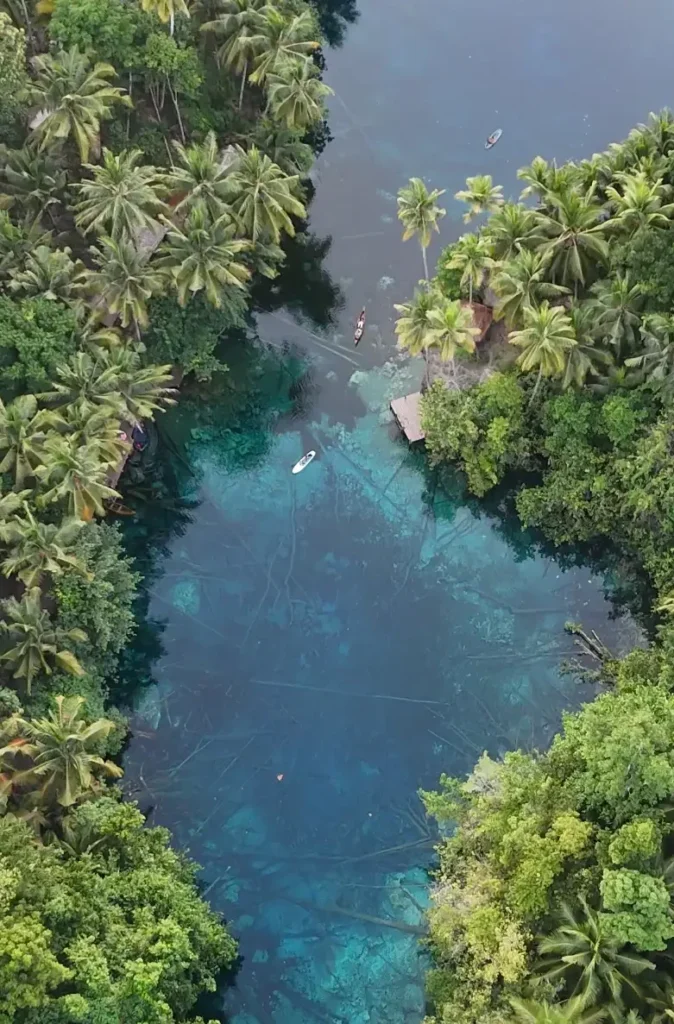 Vista aérea del lago Paisupok en Indonesia con aguas turquesas cristalinas que revelan raíces de árboles en el fondo, mostrando una tabla de paddle surf y una canoa tradicional navegando junto a la selva.
