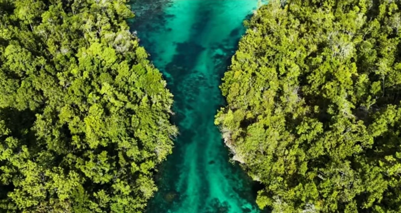 Vista aérea del cañón kárstico y canal marino de Liang Tadul en Mbuang-Mbuang, Banggai Laut.
