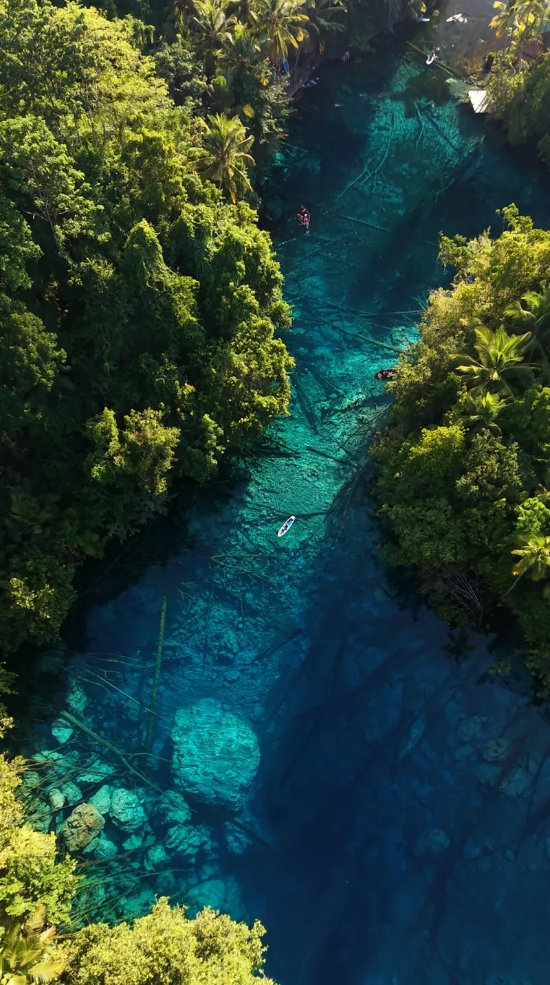 Vista aérea de viajero en canoa tradicional de madera navegando sobre las aguas transparentes y el bosque sumergido del lago Paisu Pok en Peleng.