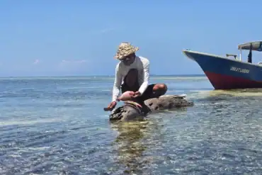 Guía local experto preparando pescado fresco recién capturado en la playa durante una expedición privada de turismo lento en Sulawesi.