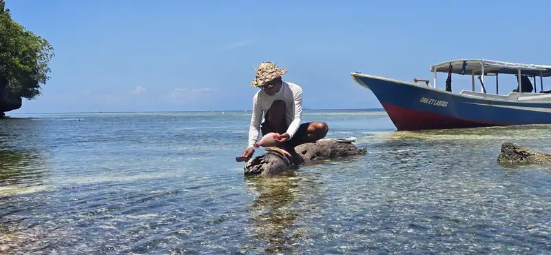 Guía local experto preparando pescado fresco recién capturado en la playa durante una expedición privada de turismo lento en Sulawesi.