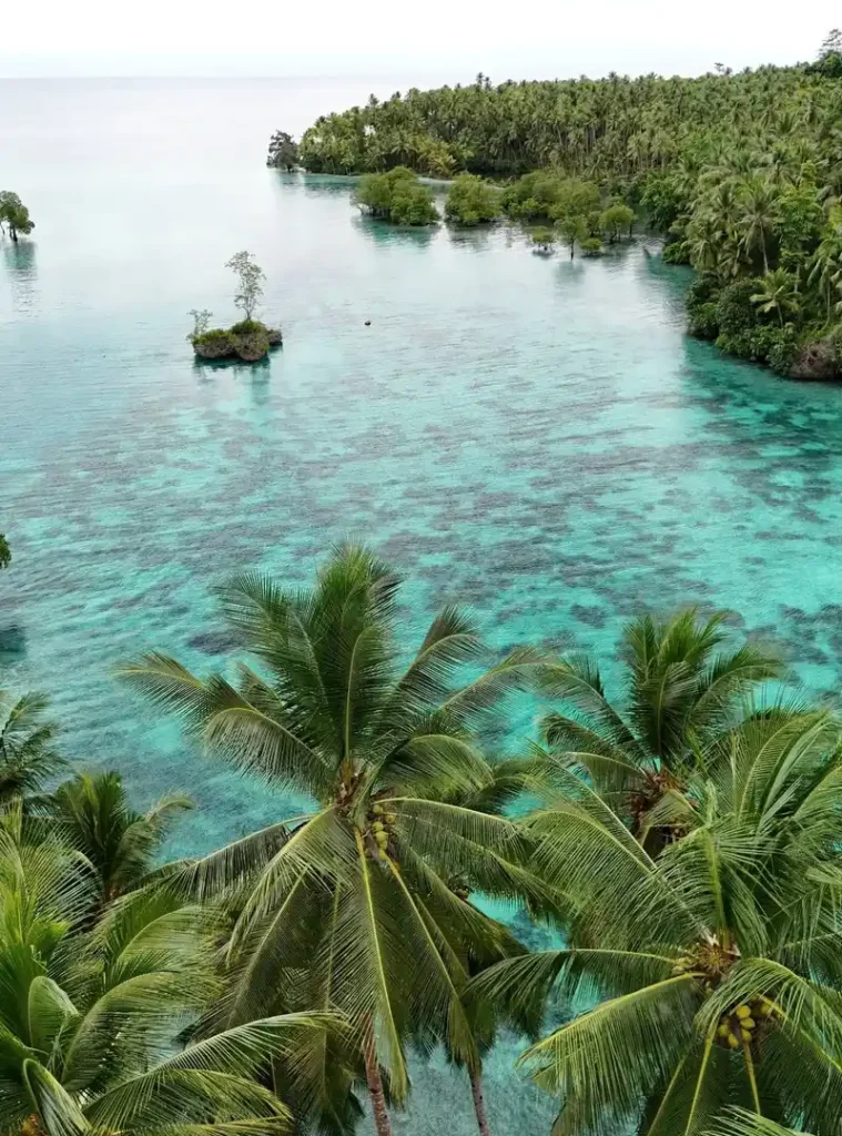 Vista aérea de la costa de Kawalu con palmeras tropicales en primer plano y aguas turquesas cristalinas que revelan extensos arrecifes de coral en Indonesia.