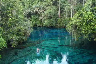 Aguas cristalinas de color turquesa del lago Paisu Pok rodeado de densa vegetación tropical.