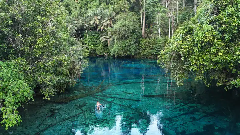 Aguas cristalinas de color turquesa del lago Paisu Pok rodeado de densa vegetación tropical.
