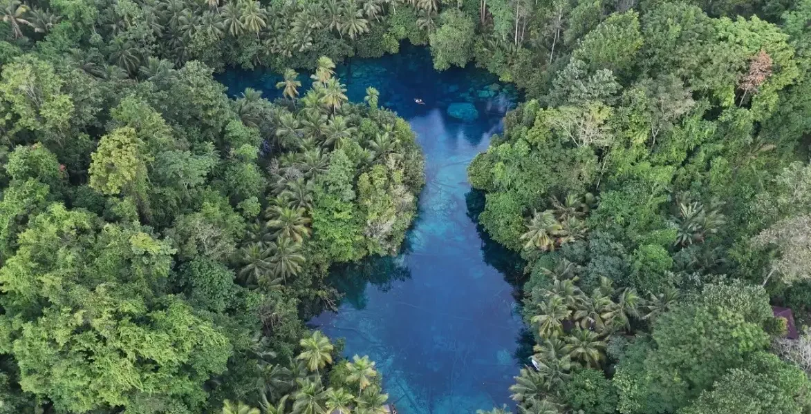 Vista aérea con dron del Lago Paisupok al amanecer, aguas de color azul profundo rodeadas de un denso palmeral y selva, sin turistas en Indonesia.