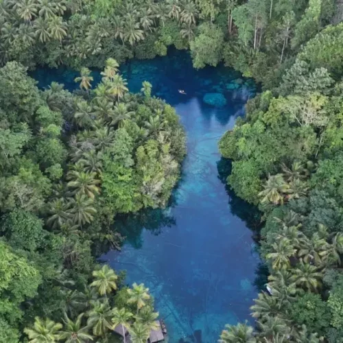 Vista aérea con dron del Lago Paisupok al amanecer, aguas de color azul profundo rodeadas de un denso palmeral y selva, sin turistas en Indonesia.