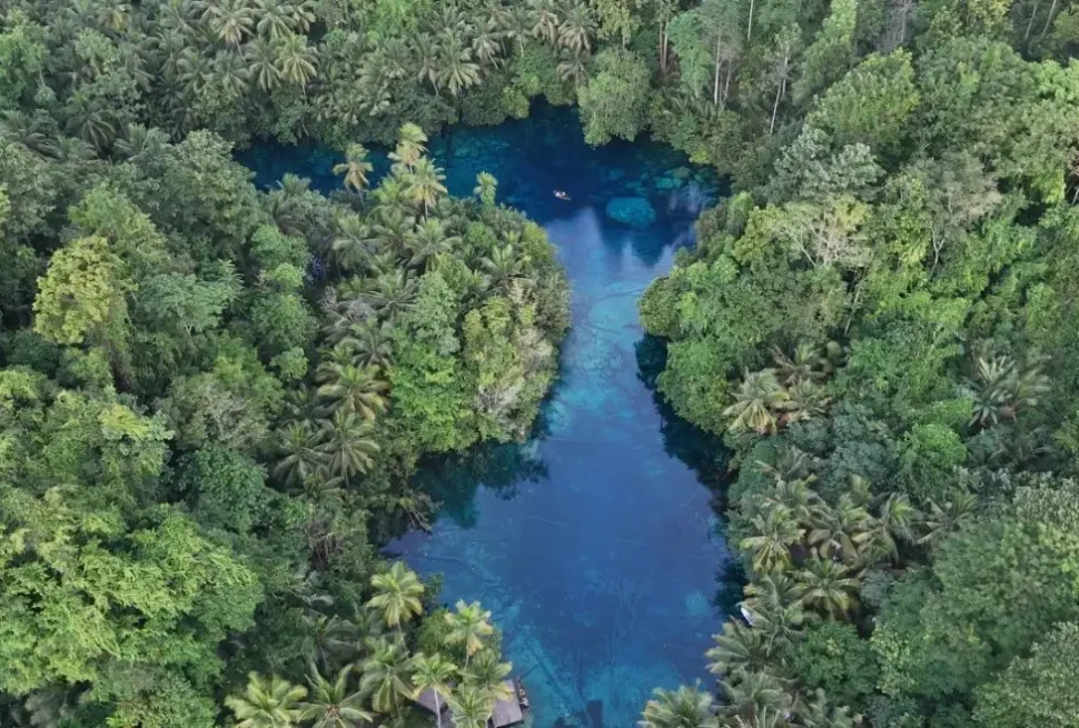 Vista aérea con dron del Lago Paisupok al amanecer, aguas de color azul profundo rodeadas de un denso palmeral y selva, sin turistas en Indonesia.