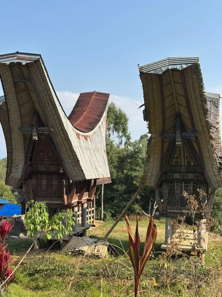 Casas tradicionales Tongkonan y graneros Alang en Tana Toraja, Sulawesi.