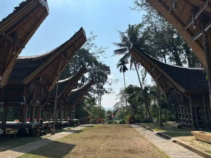 Qué Ver en Tana Toraja: Ritos Funerarios y Casas Tongkonan