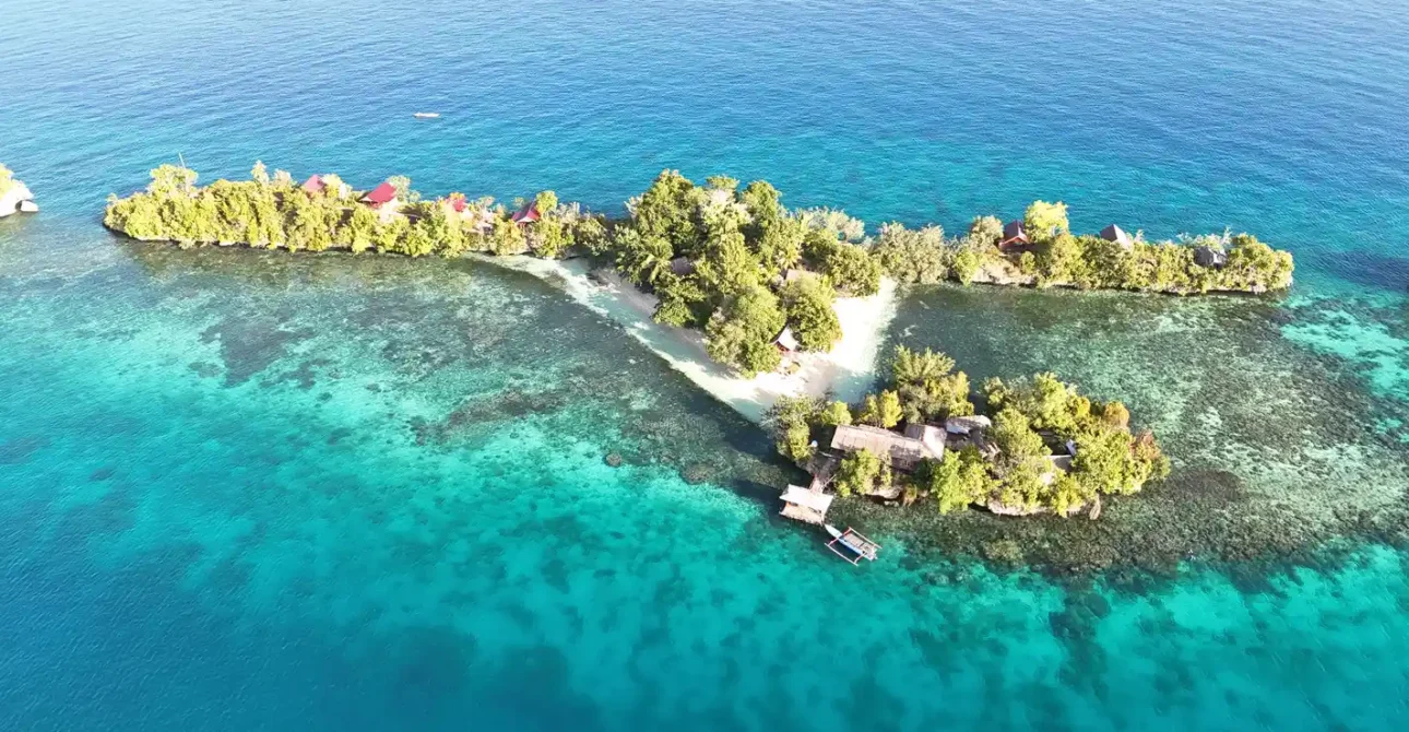 Dónde Dormir en Sulawesi: Guía Real de Hoteles, Homestays Tradicionales y Eco-Lodges