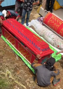 Familiar preparando un ataúd tradicional rojo y dorado durante una ceremonia funeraria en Toraja