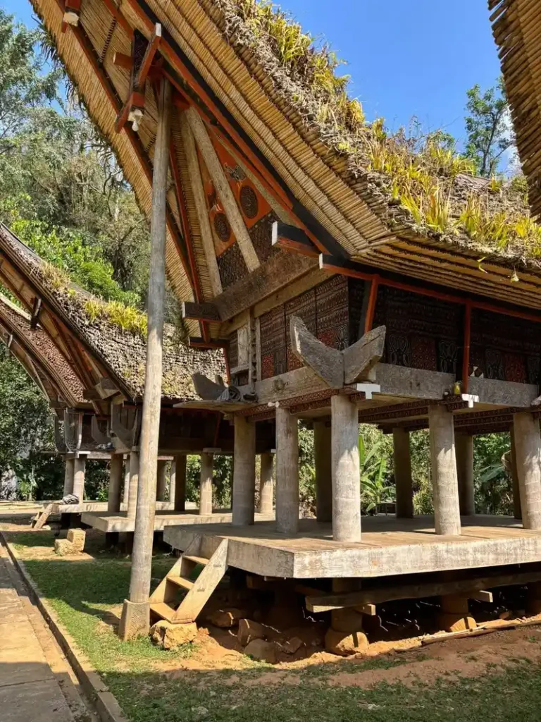 Casas tradicionales Tongkonan con vegetación en el tejado en Tana Toraja.