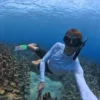 Albert Ballesta, especialista en Indonesia y experto en expediciones, practicando freedive