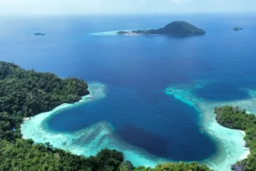 Vista aérea cenital de las formaciones kársticas, bahías de aguas turquesas y arrecifes en la isla de Labengki, Sulawesi.