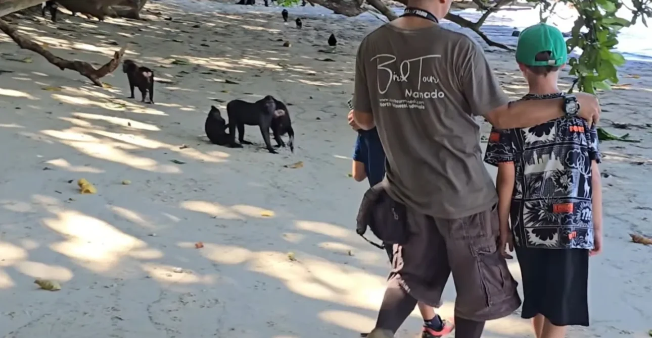 Guía definitiva para viajar a Banggai, Peleng y Togian con niños: Logística y transportes